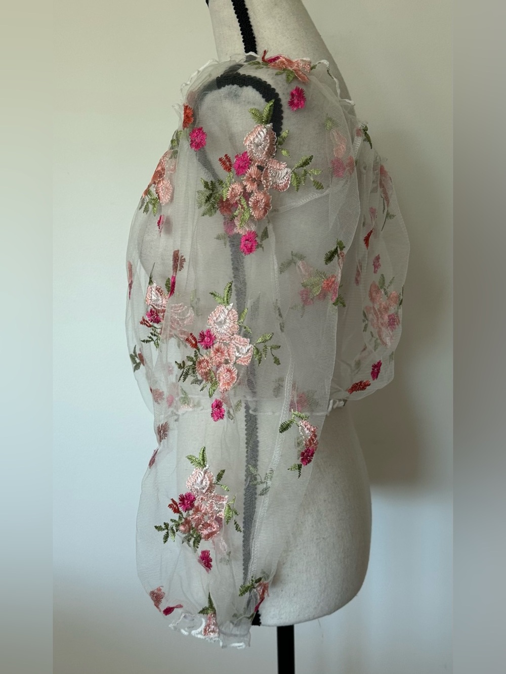 Floral Embroidered Sheer Mesh Off-Shoulder Crop Top Fairycore Cottagecore XL - Picture 5 of 10